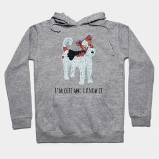 I’m cute and I know it Hoodie